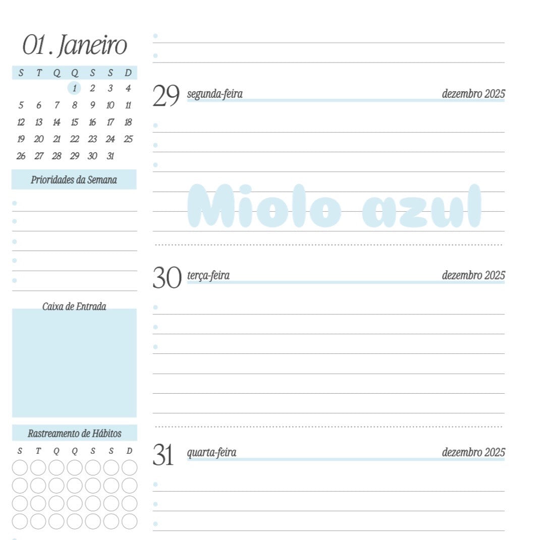 Planner 2026 - Cosmos